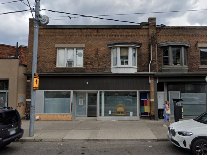 Photo of Oak Tree in the Garden Photo of Oak Tree in the Garden